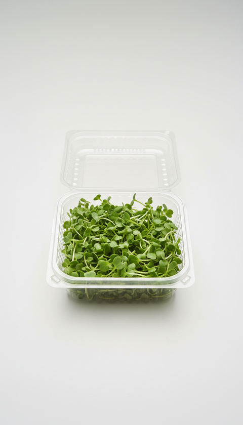 Micro Basil Living Clamshell