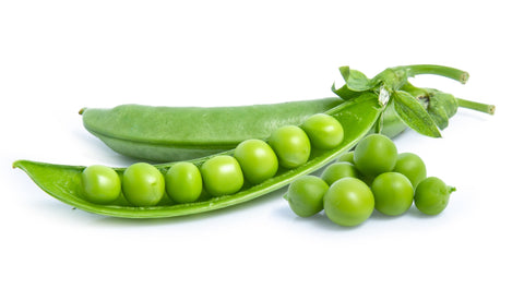 Pea