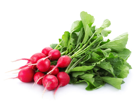 Red Radish