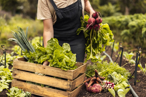 Farm-Fresh Produce Straight to Your Door