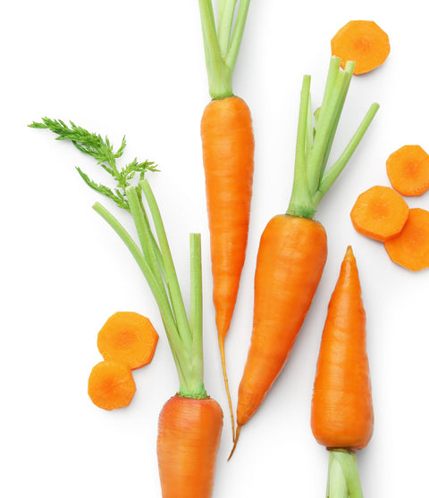 Carrot